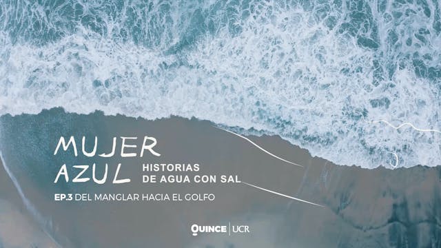 Mujer Azul: Del manglar hacia el golfo