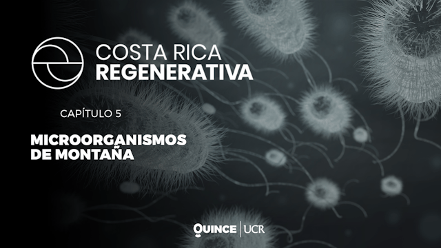 Costa Rica regenerativa: Microorganismos de Montaña