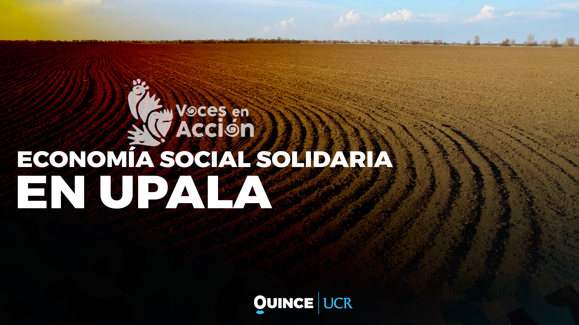 Voces en Acción: Economía social solidaria en Upala