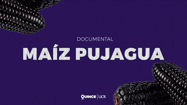 Maíz Pujagua