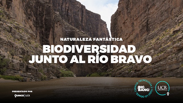 Biodiversidad junto al Río Bravo