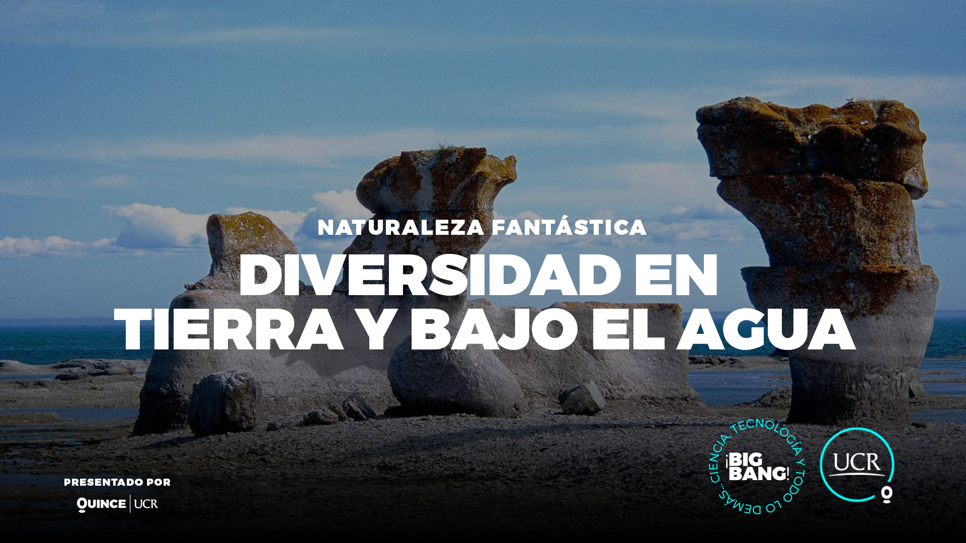 Diversidad en tierra y bajo el agua
