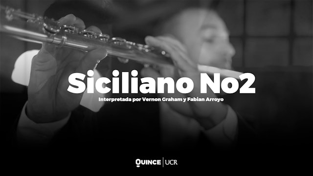 Siciliano No2 (Johann Sebastian Bach Flute Sonata In E-Flar Major, BWV 1031)