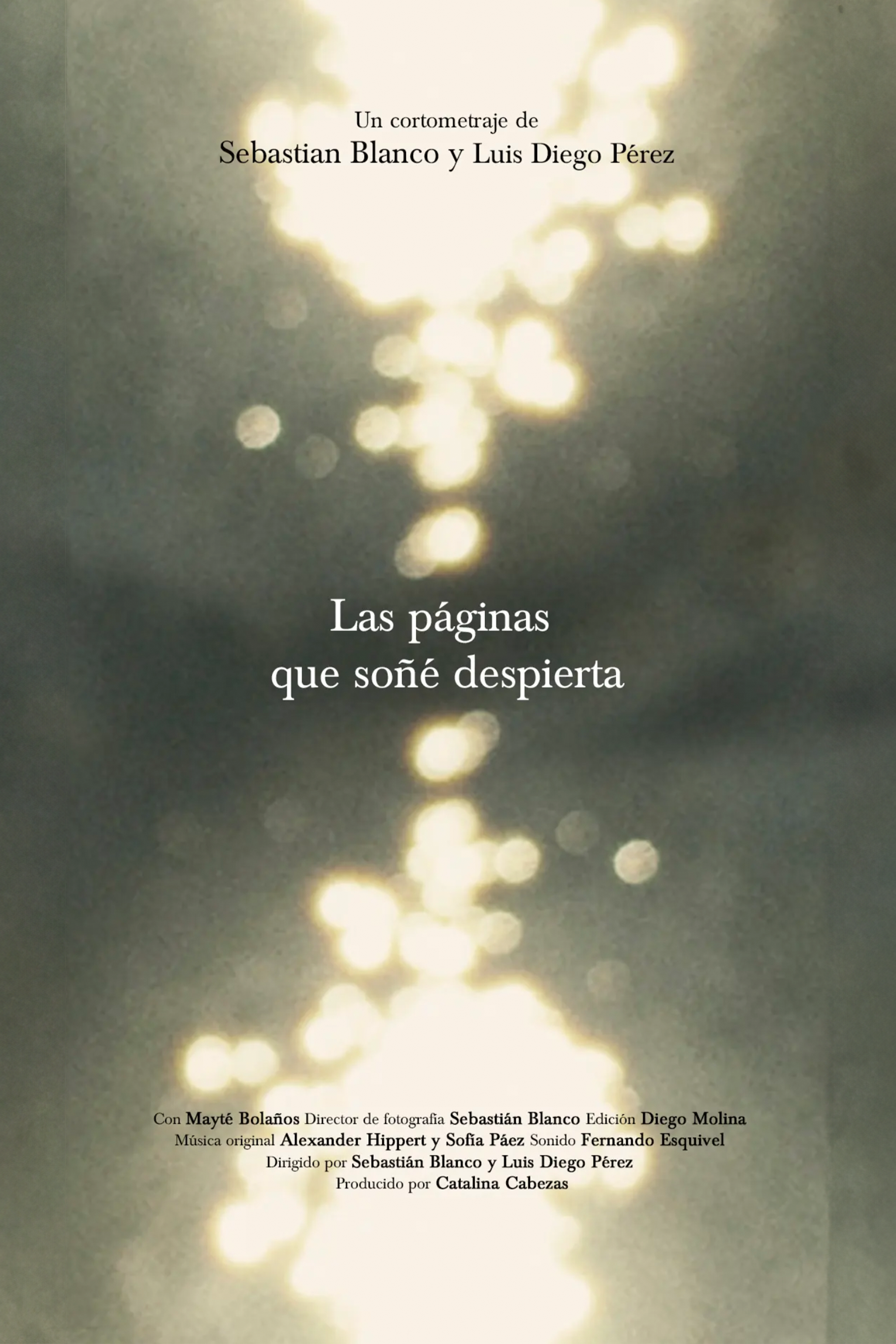 Las páginas que soñé despierta