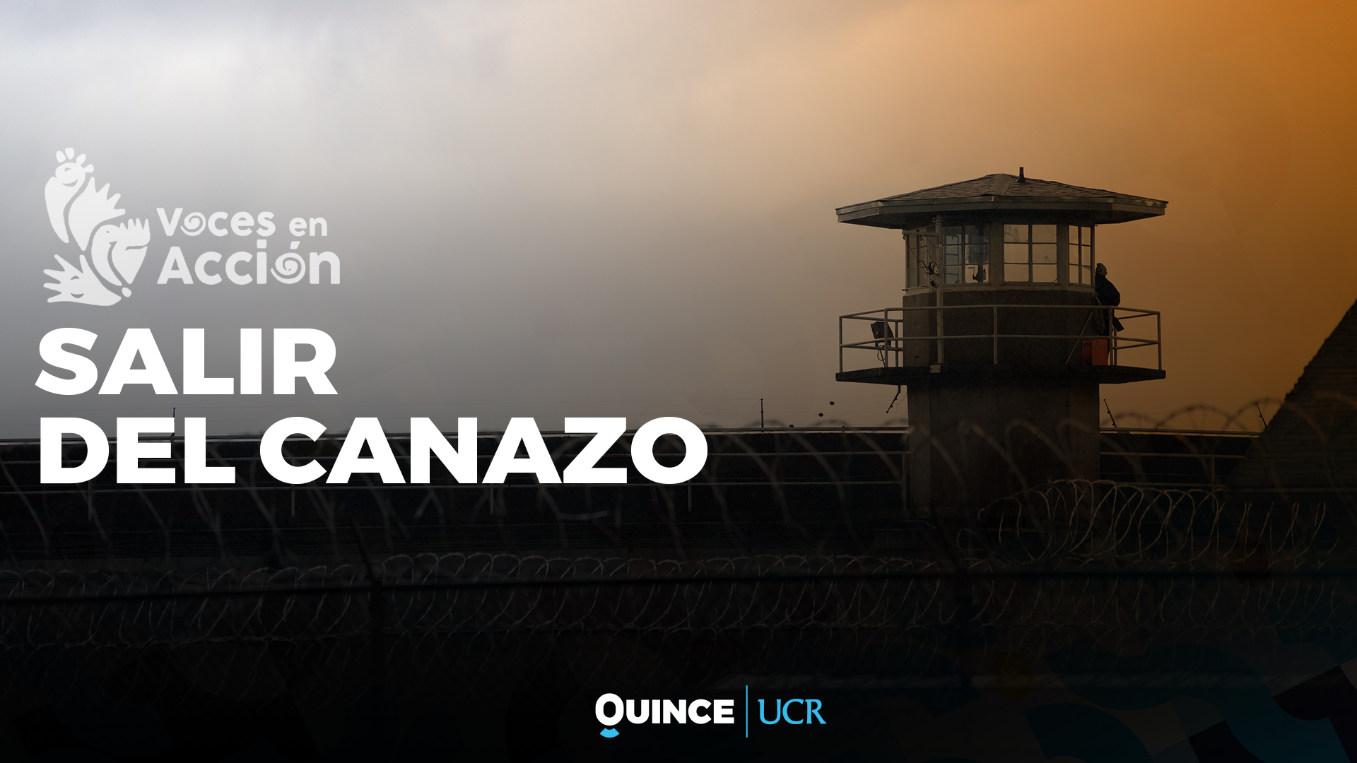 Voces en Acción: Salir del canazo