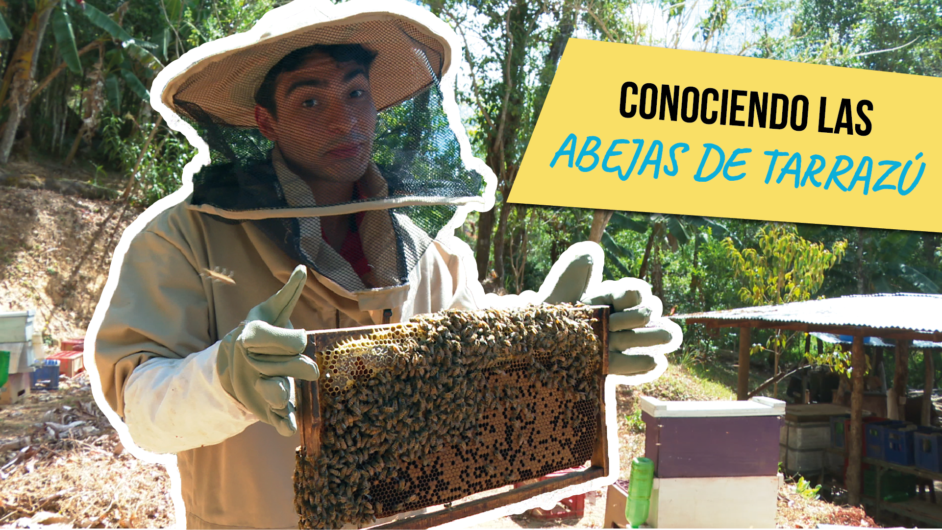 El Vlog: Conociendo las abejas de Terrazú