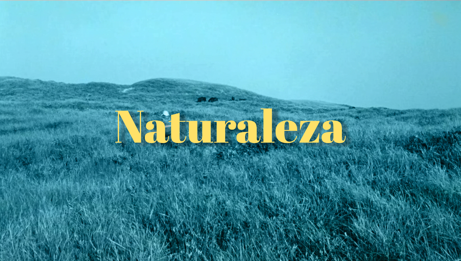 Luz Sonido Tiempo: Naturaleza