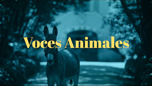 Luz Sonido Tiempo: Voces Animales