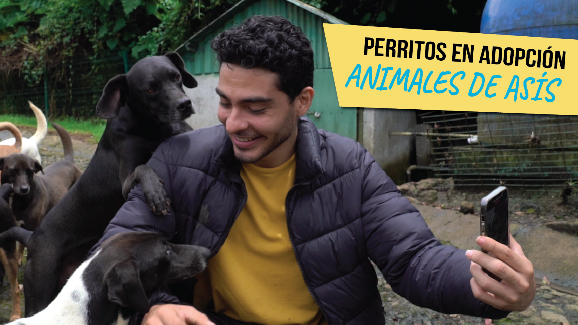 El Vlog: Perritos en Adopción 🐶 I Visitando Animales de Asis