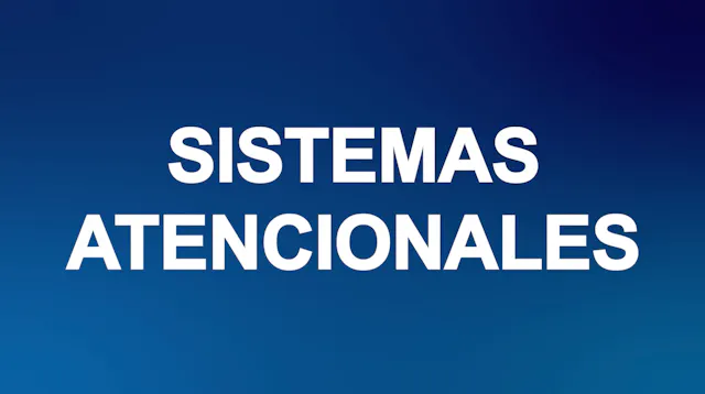 Alfabetiza TV: Sistemas atencionales