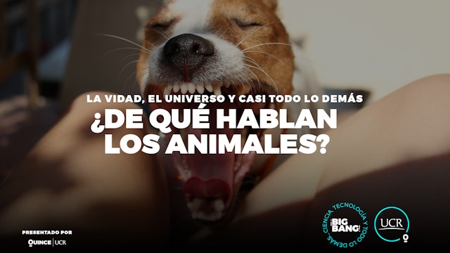 ¿De qué hablan los animales?