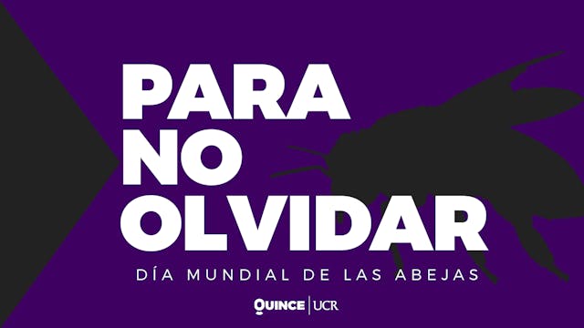 Para no olvidar: Día Mundial de las A...