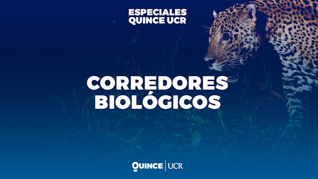 Especiales UCR: Corredores biológicos