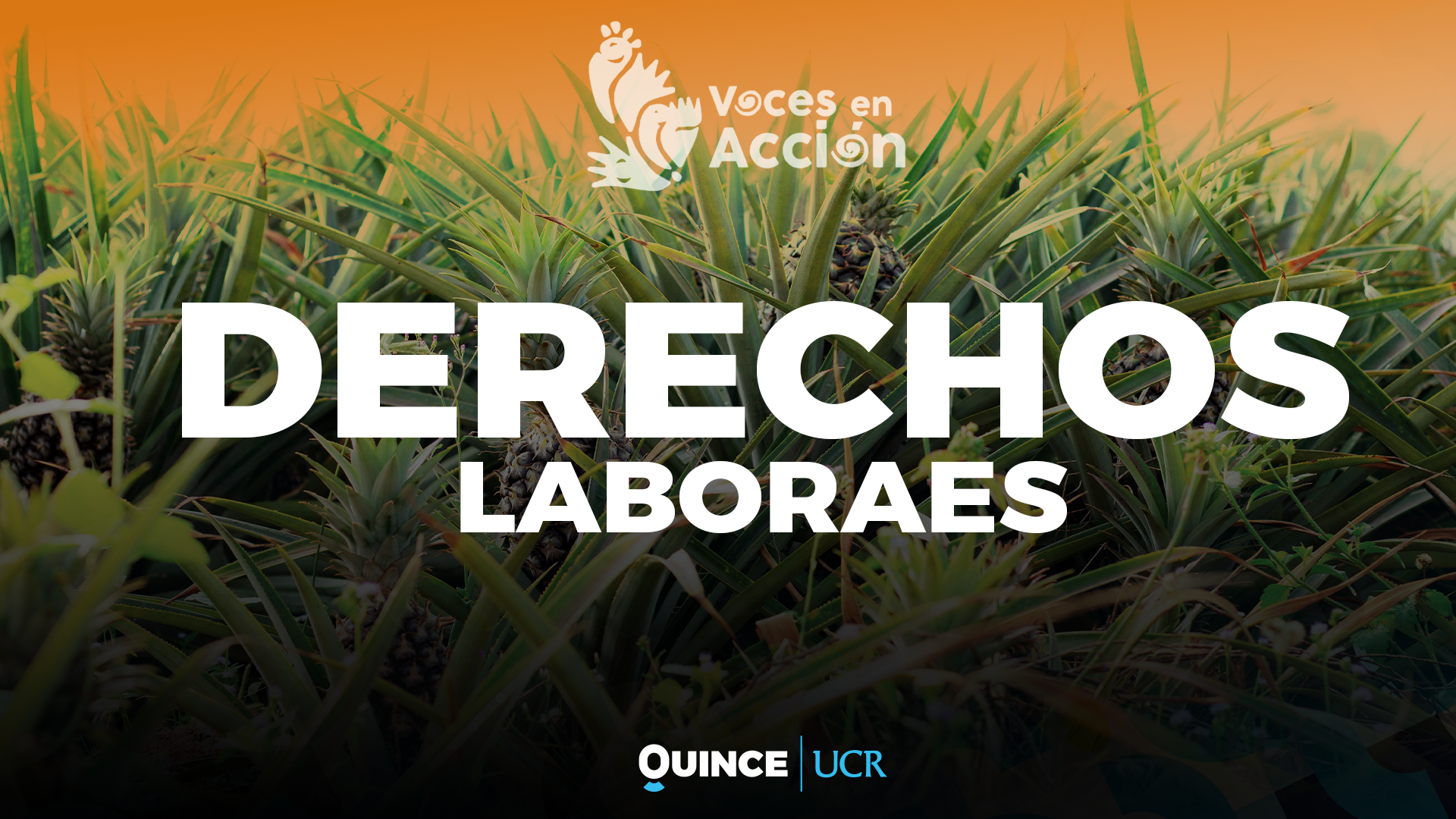 Voces en Acción: Derechos laborales
