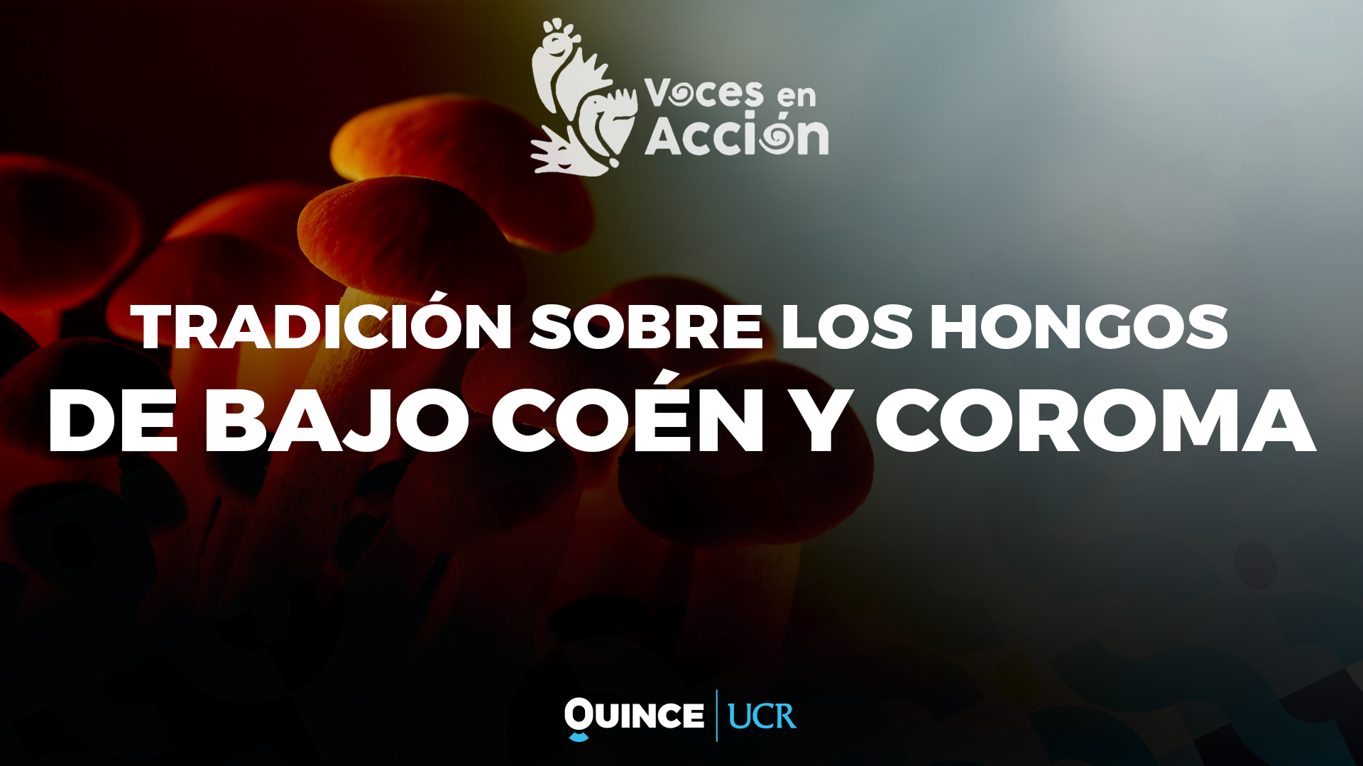 Voces en Acción: Tradición oral sobre los hongos en Bajo Coen y Coroma