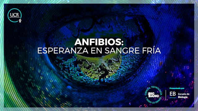 Anfibios, esperanza a sangre fría