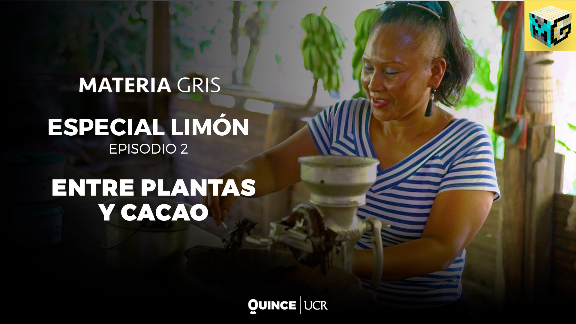 Materia Gris: Entre plantas y cacao