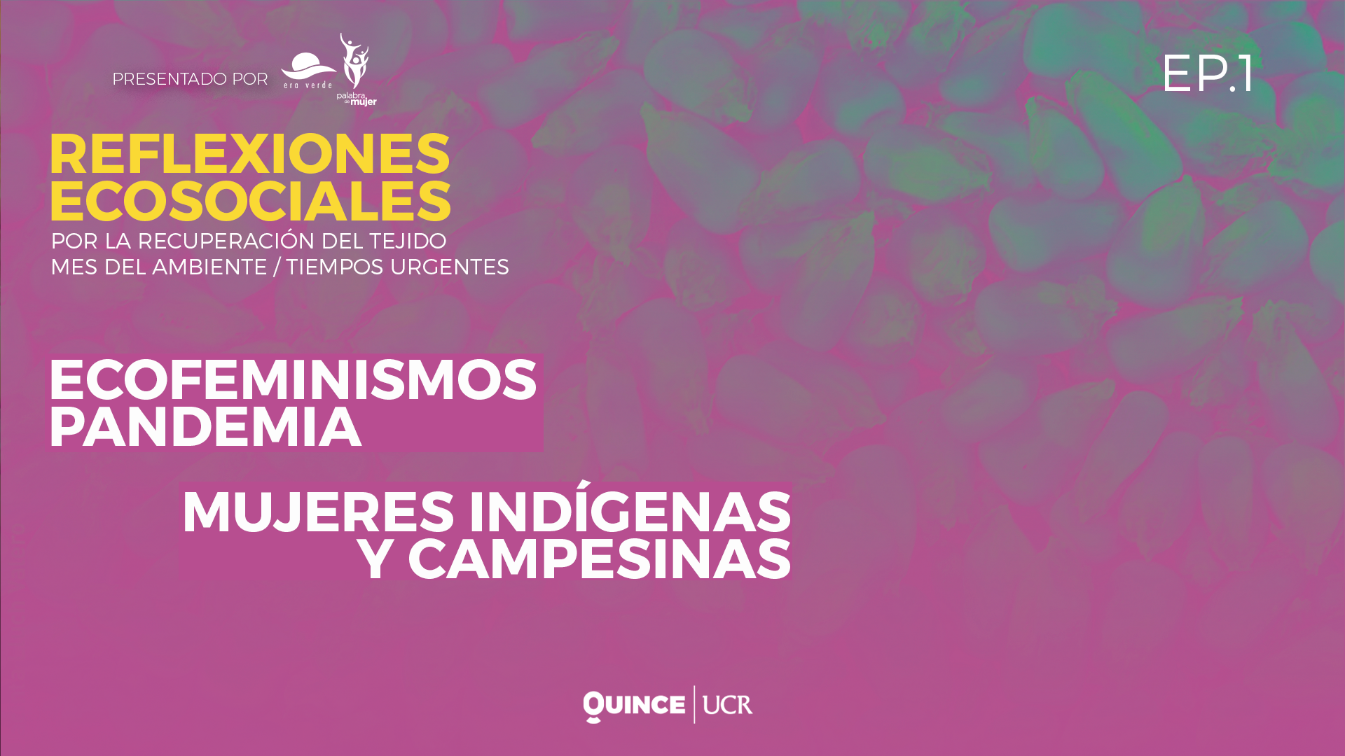 Episodio 1: Ecofeminismos, pandemia - Mujeres indígenas y campesinas 