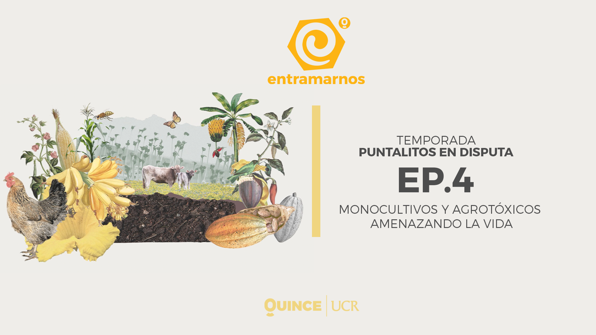 EP04. Monocultivos y agrotóxicos amenazando la vida