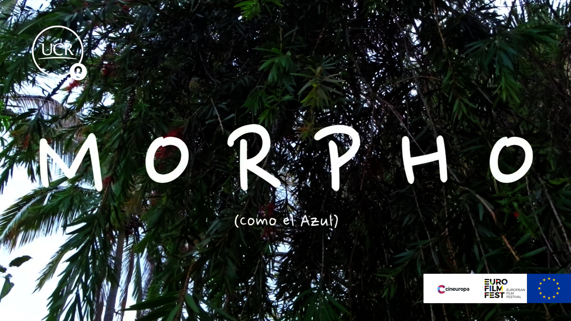 MORPHO (Como el Azul)