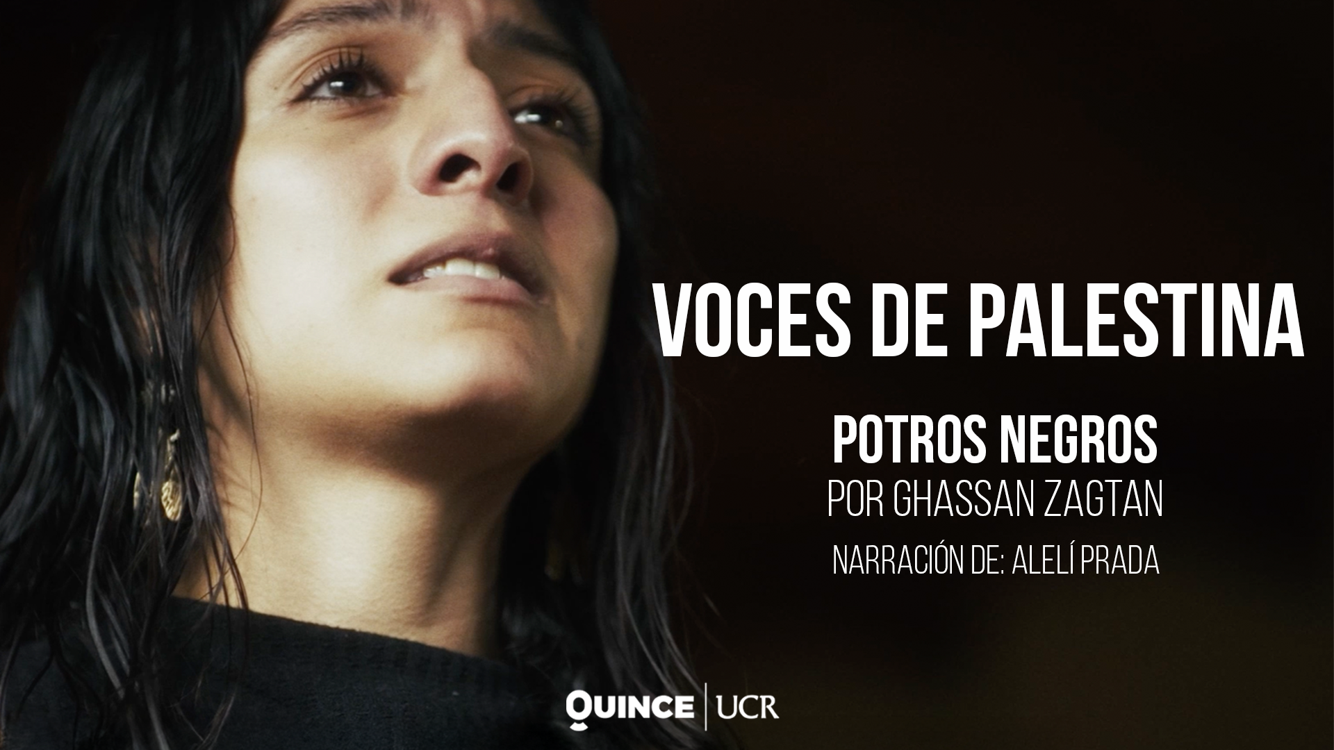 Voces de Palestina: Potros negros 