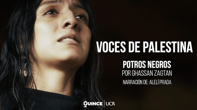 Voces de Palestina: Potros negros 