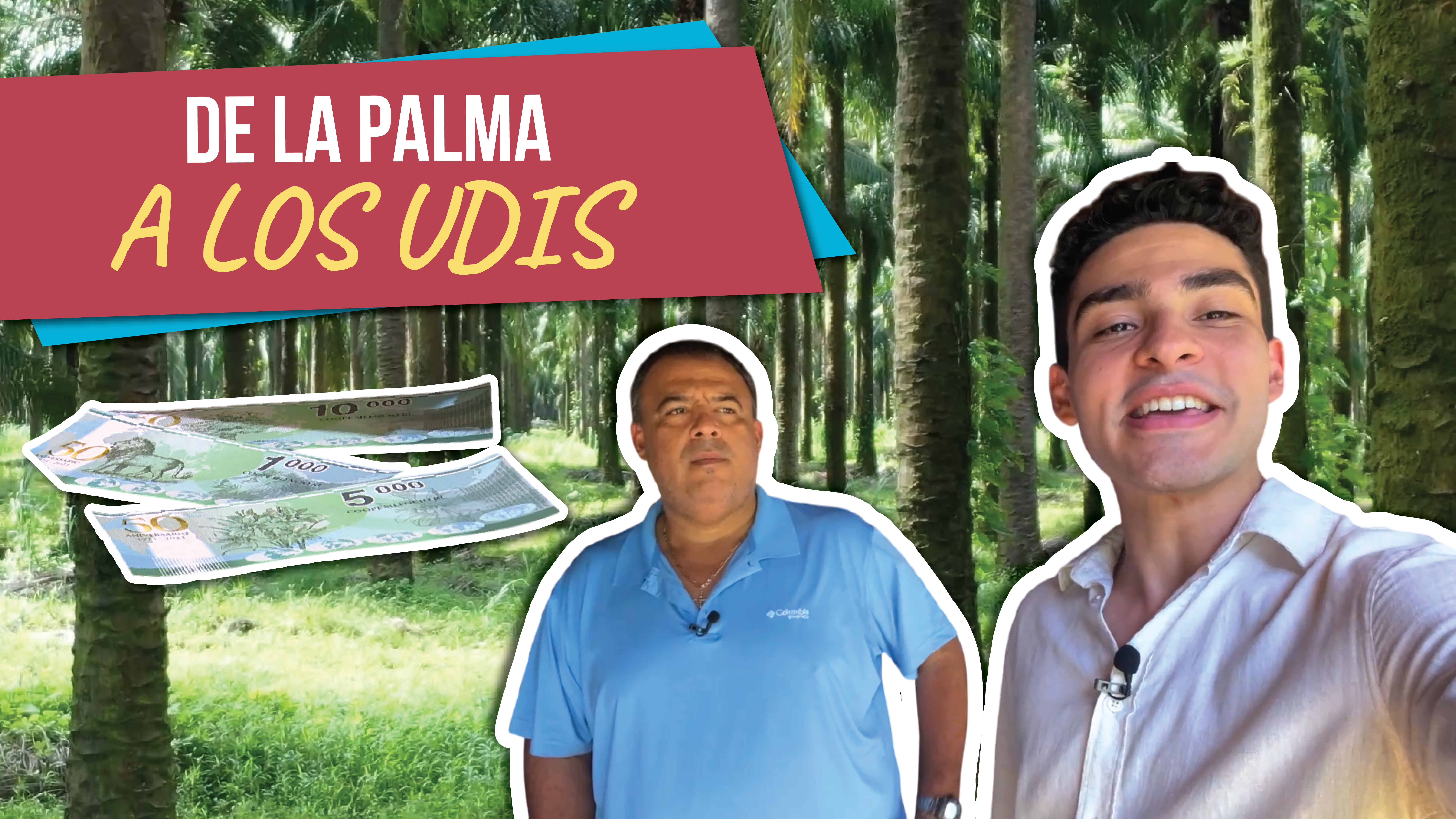 El Vlog: De la palma a los UDIS