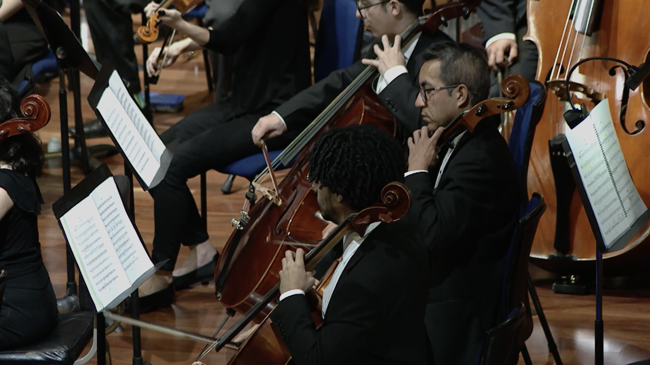 Palco preferencial: 50 aniversario de la Facultad de Ciencias Sociales