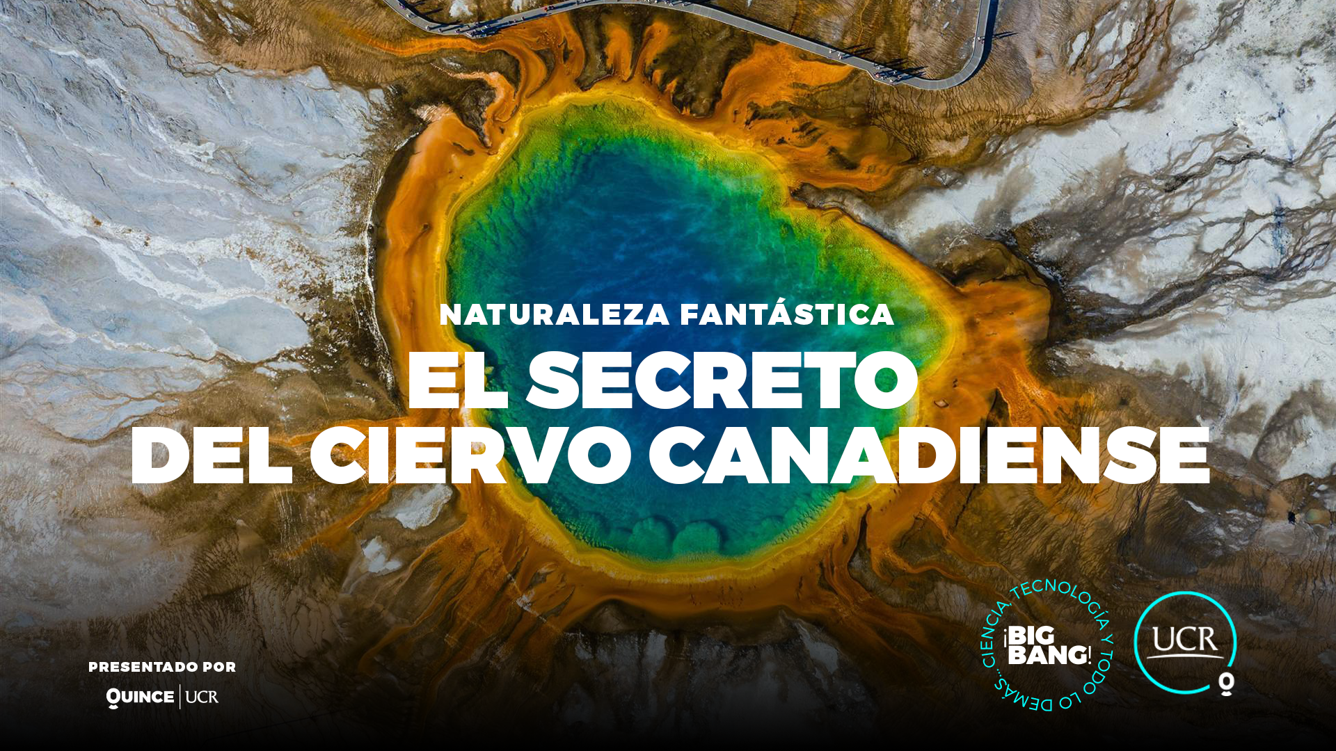 El secreto del ciervo canadiense