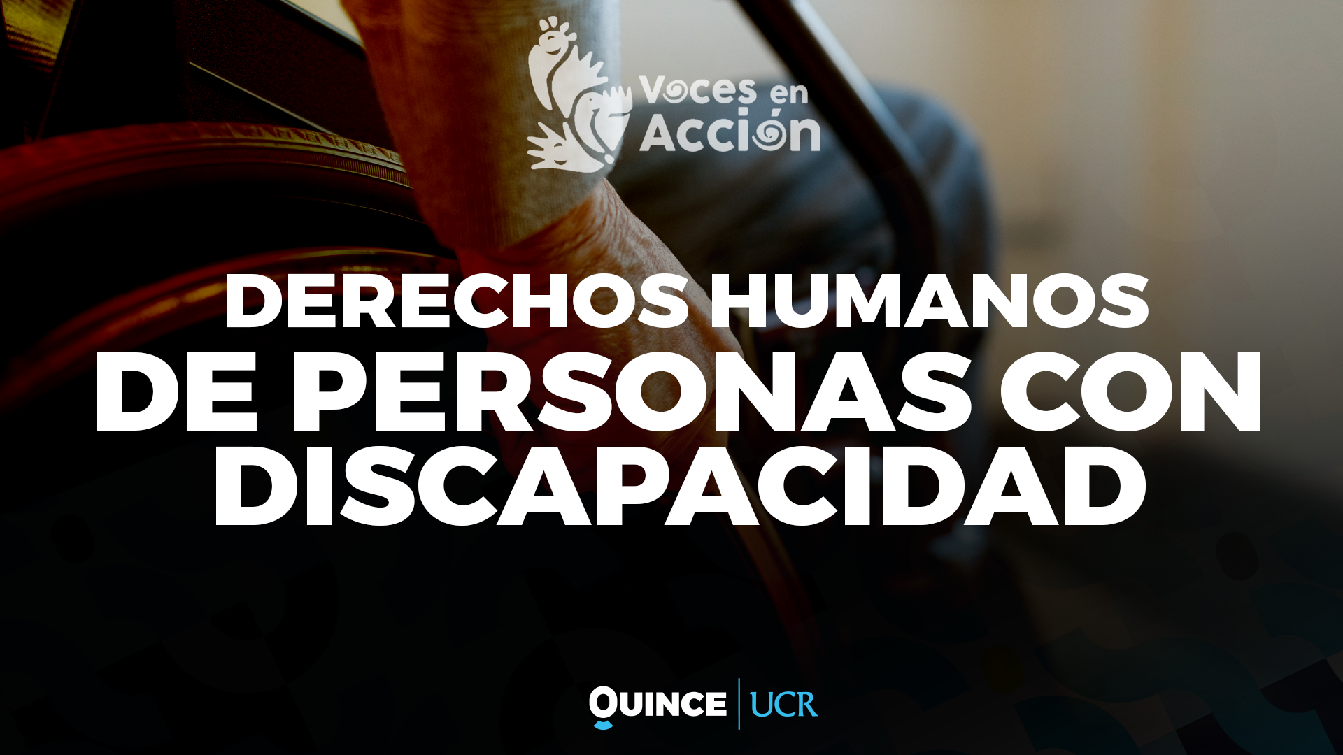 Voces en Acción: DDHH de personas con discapacidad