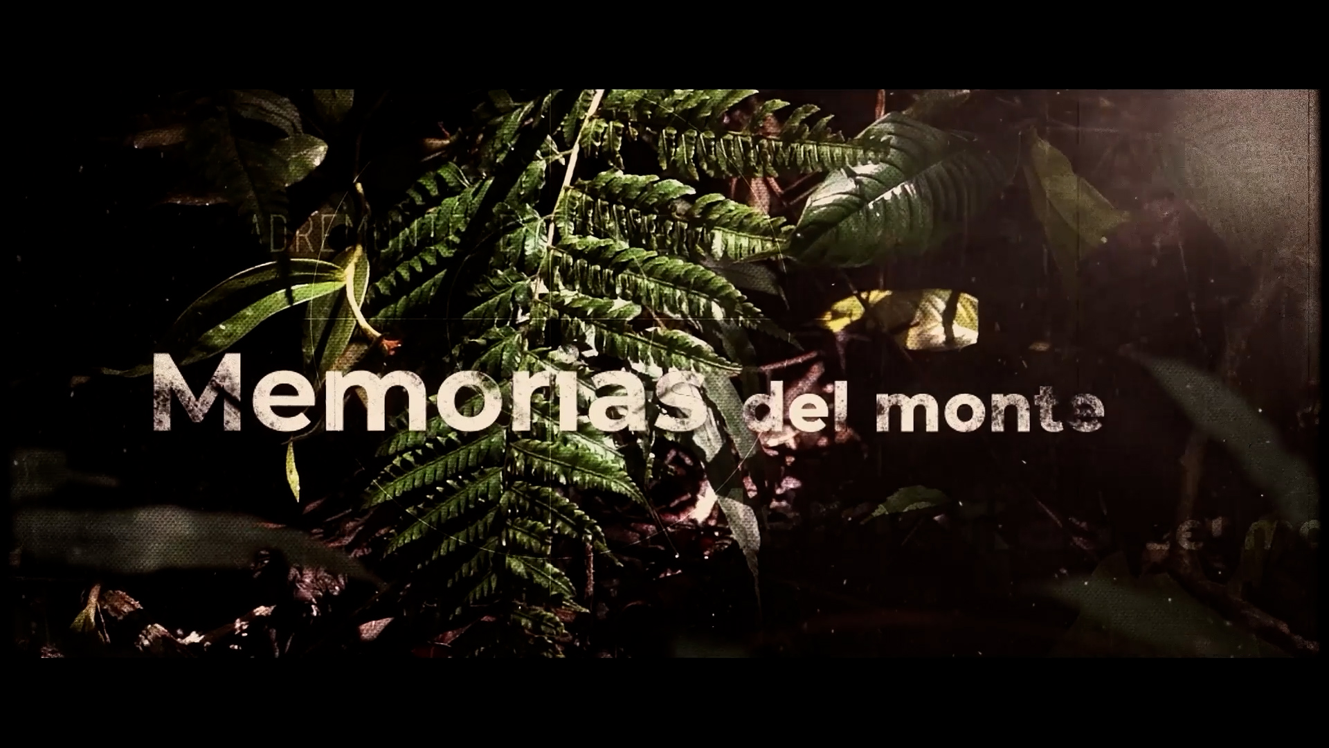 Palabra de Mujer: Memorias del Monte