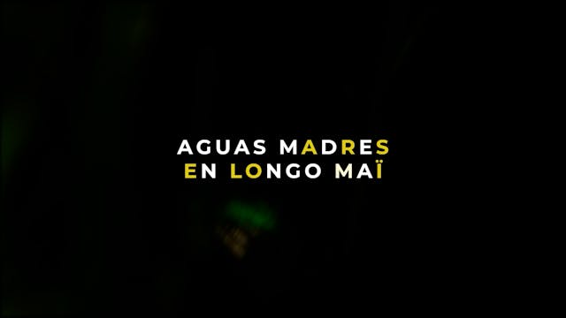 Palabra de Mujer: Aguas Madres en Lon...