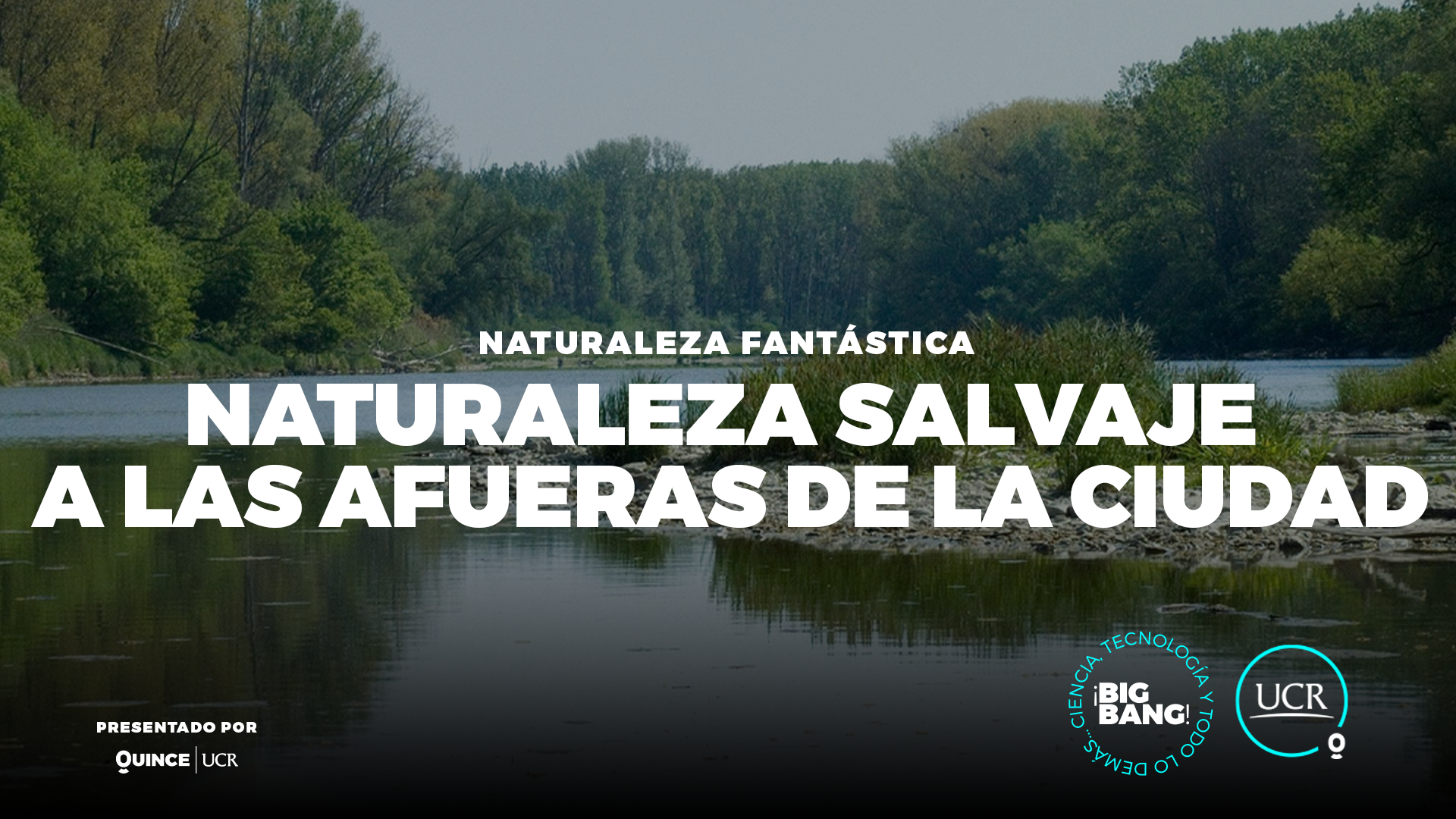 Naturaleza salvaje a las afueras de la ciudad