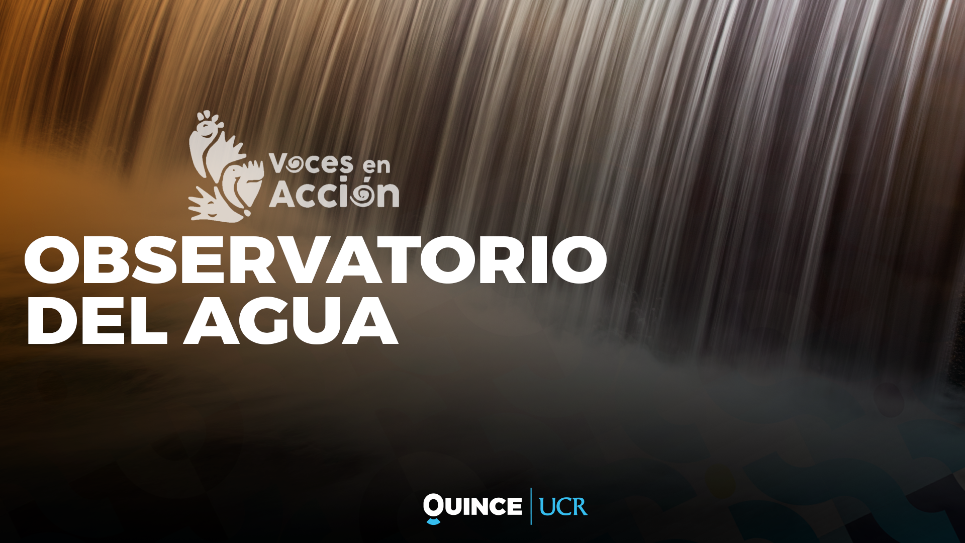 Voces en Acción: Observatorio del agua