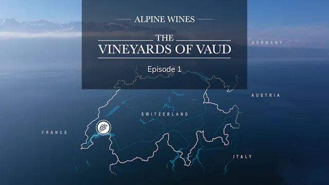 Alpina Vina - The Vineyards of Vaud