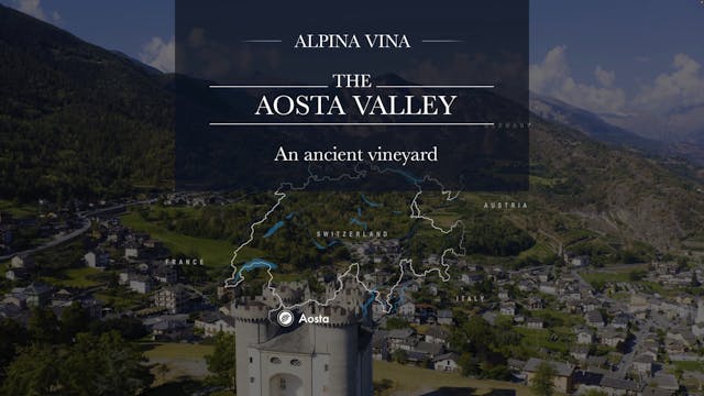 Alpina Vina - Aosta Valley - An ancient vineyard