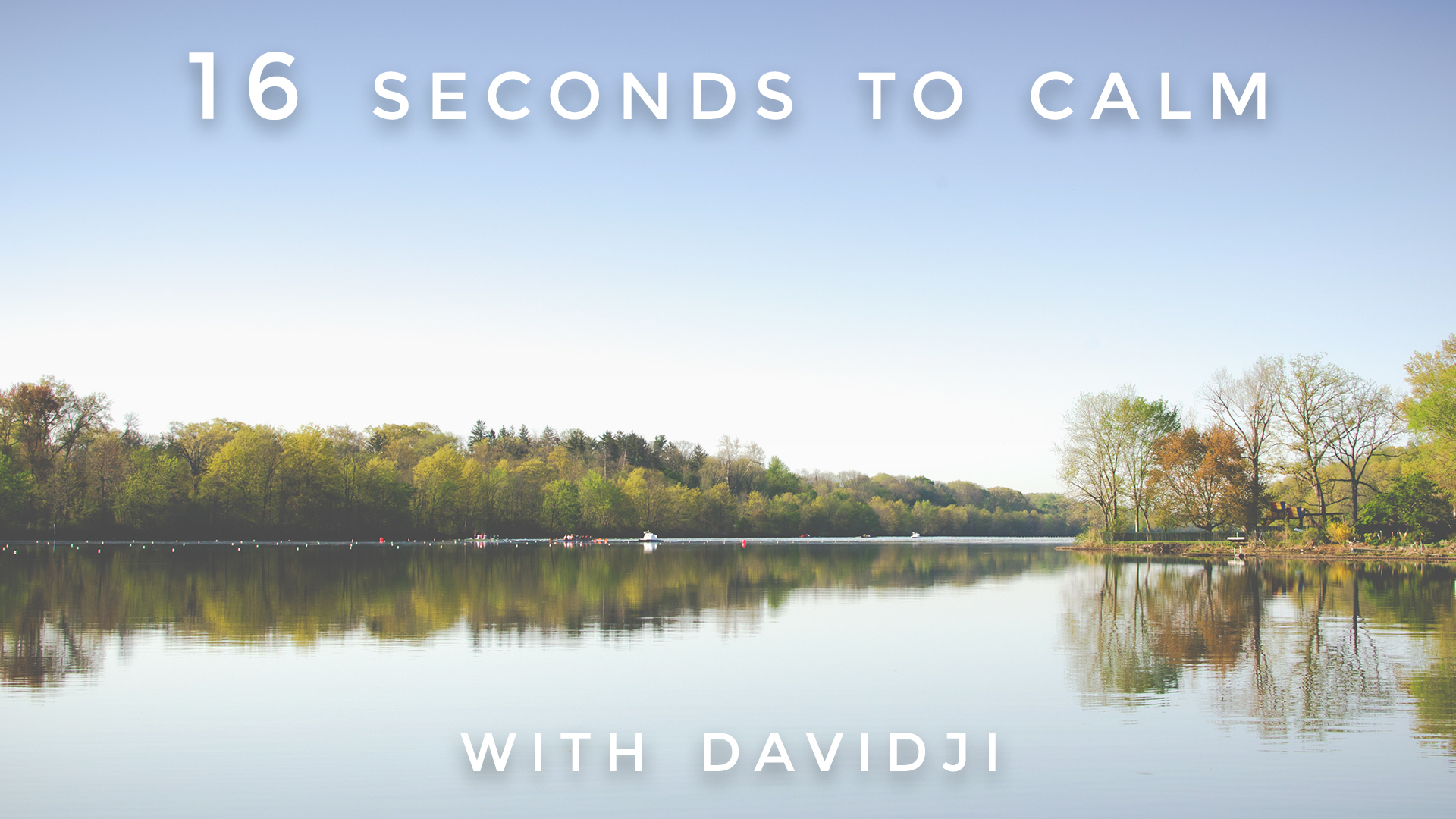 16 Seconds to Calm: davidji