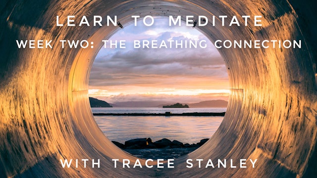 Week 2: "The Breathing Connection" Learn To Meditate: Tracee Stanley