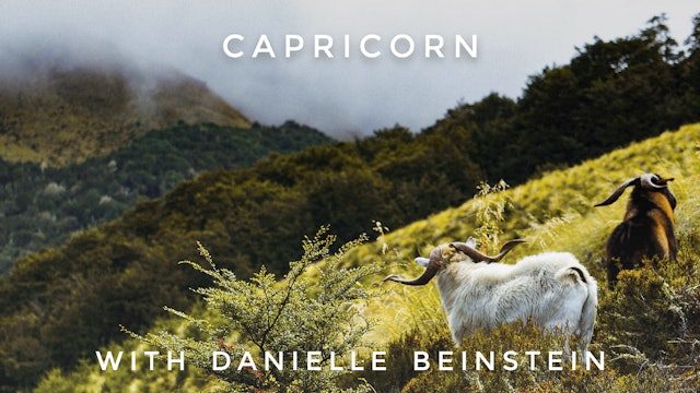 Capricorn: Danielle Beinstein