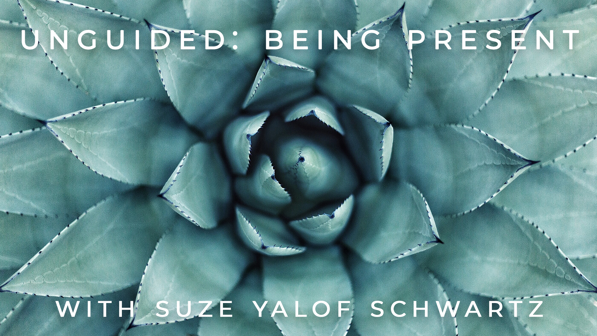 Unguided: Being Present: Suze Yalof Schwartz