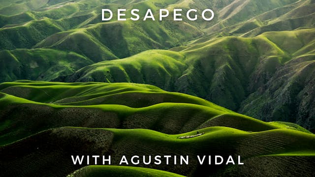 Desapego: Agustin Vidal