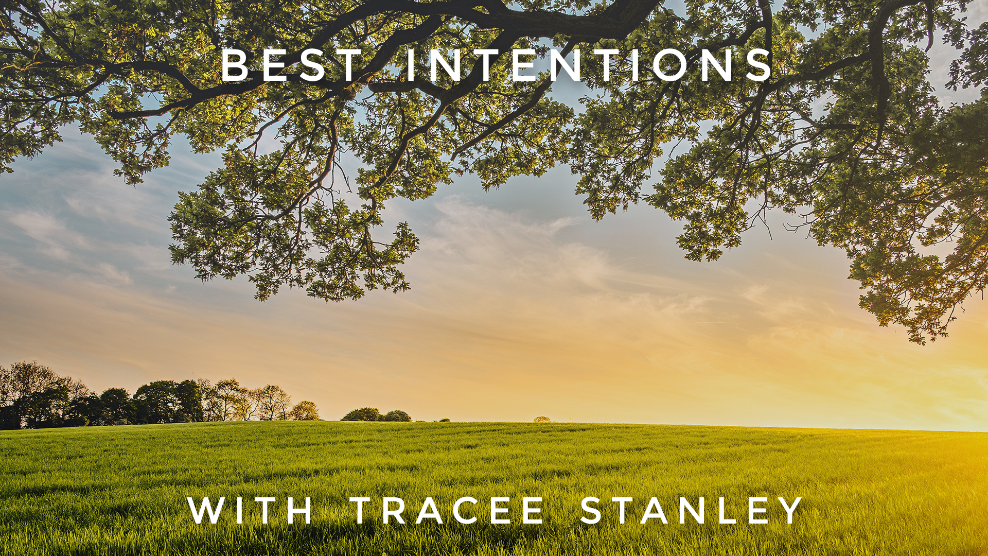 Best Intentions: Tracee Stanley