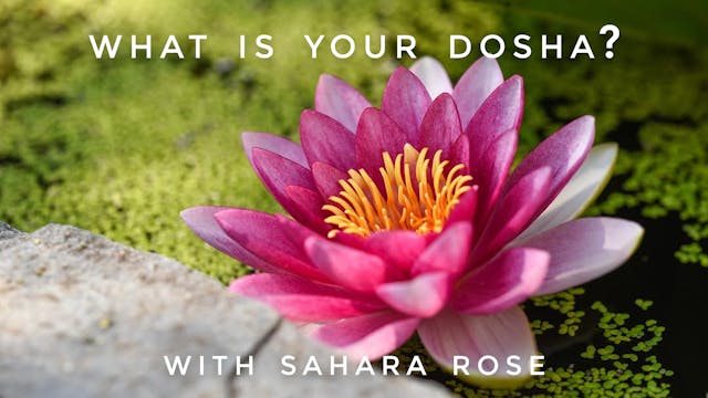 What is Your Dosha? Sahara Rose