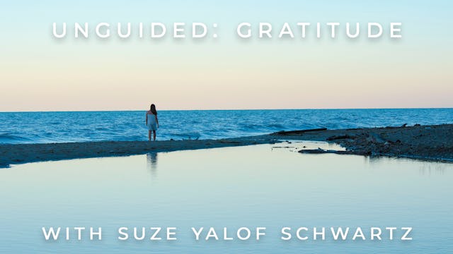 Unguided: Gratitude: Suze Yalof Schwartz