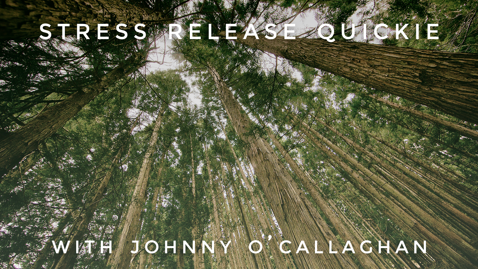 Stress Release Quickie: Johnny O'Callaghan