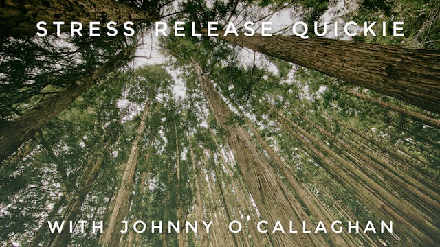 Stress Release Quickie: Johnny O'Call...