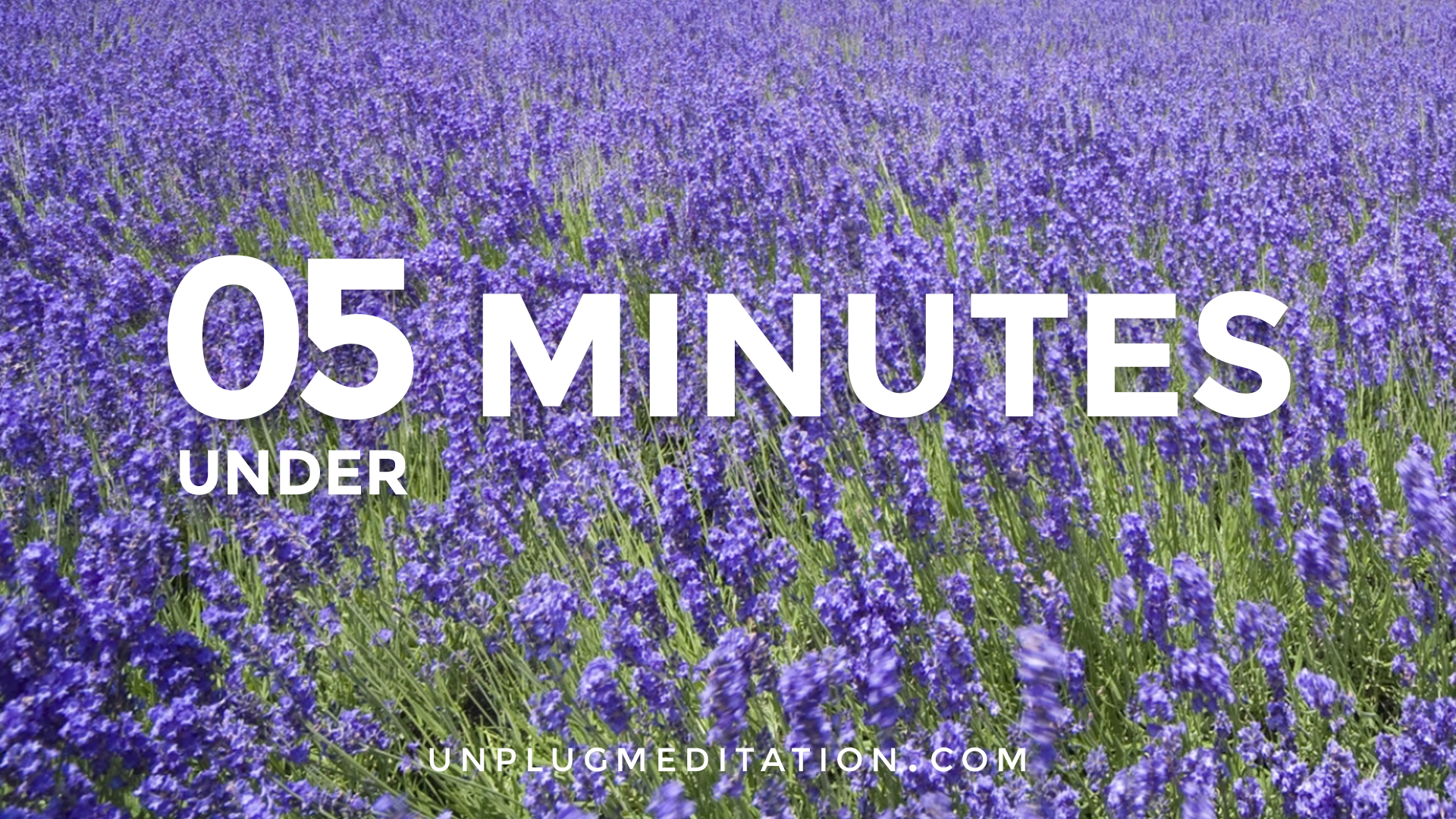 UNDER 5 MINUTES