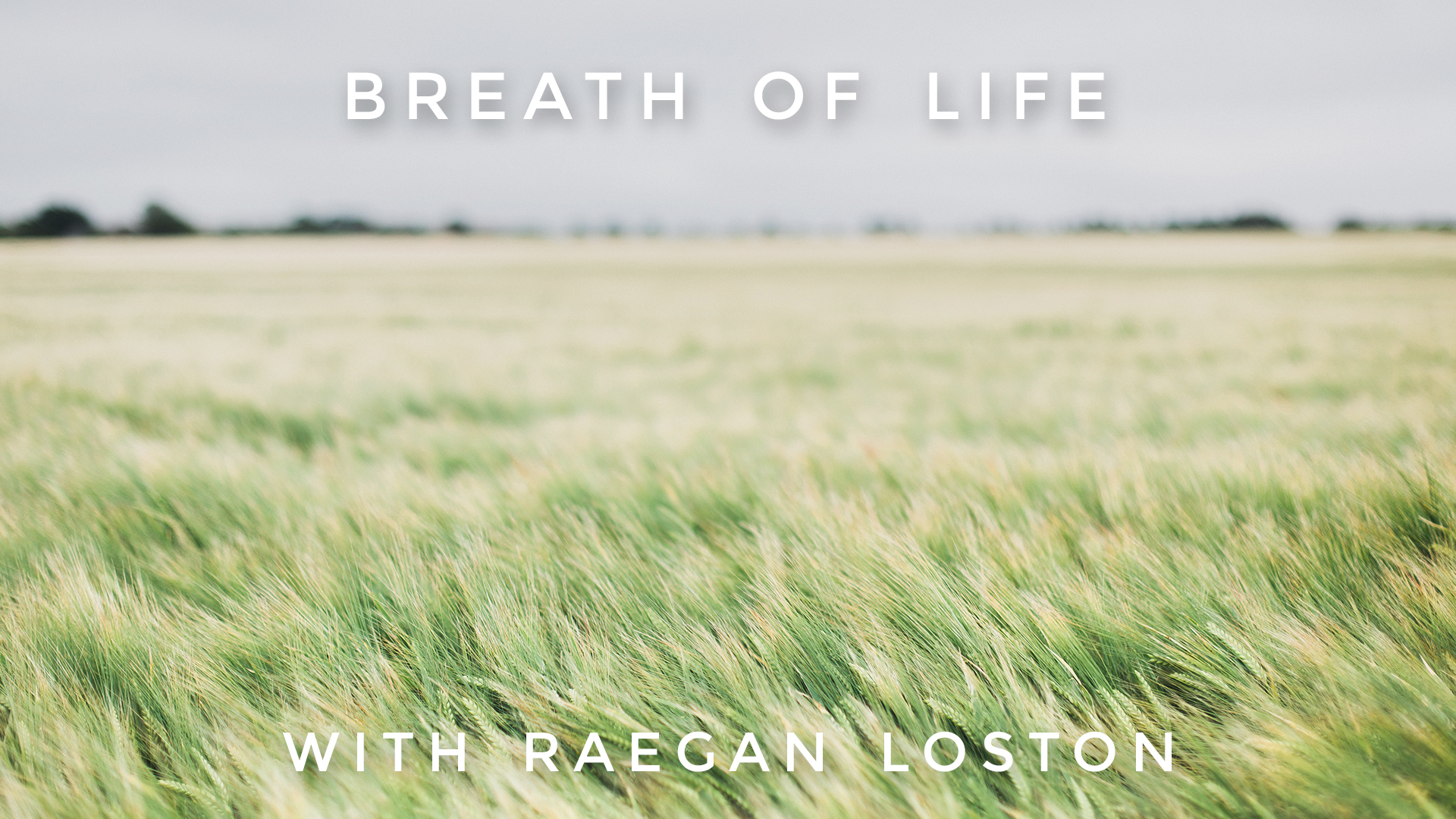 Breath of Life: Raegan Loston