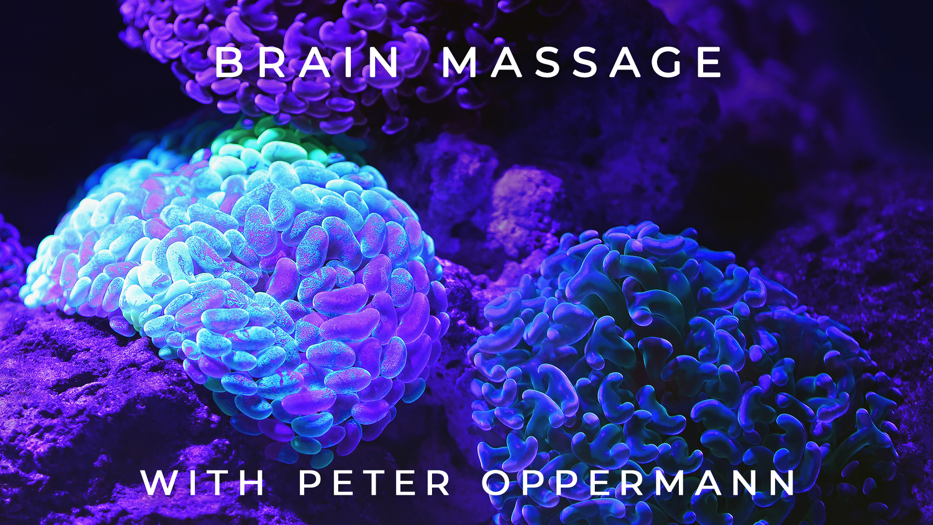 Brain Massage: Peter Oppermann