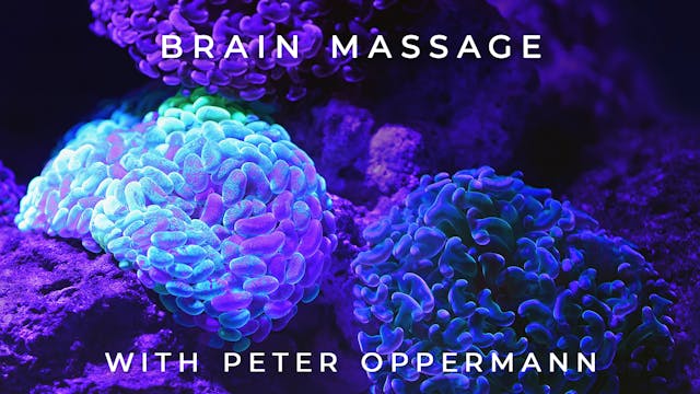 Brain Massage: Peter Oppermann